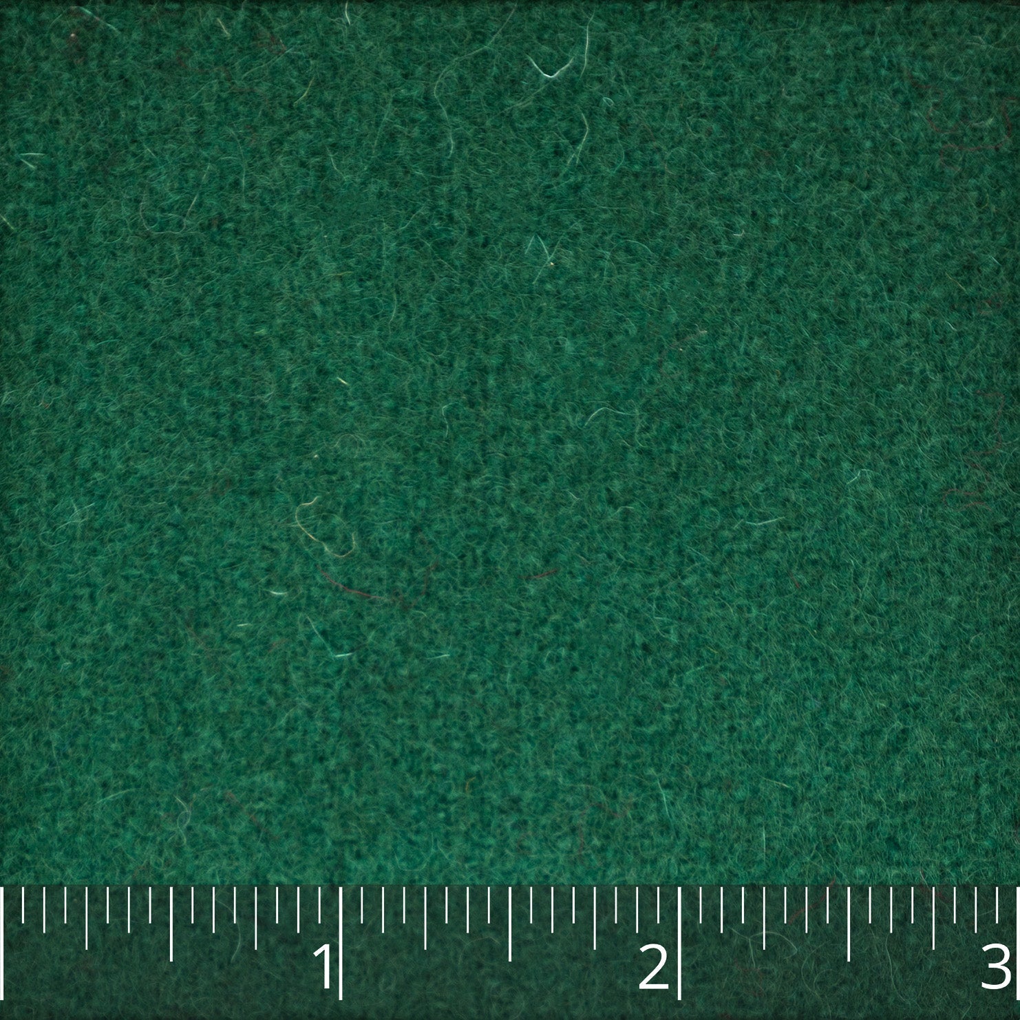 Forest Green Fine Broadcloth