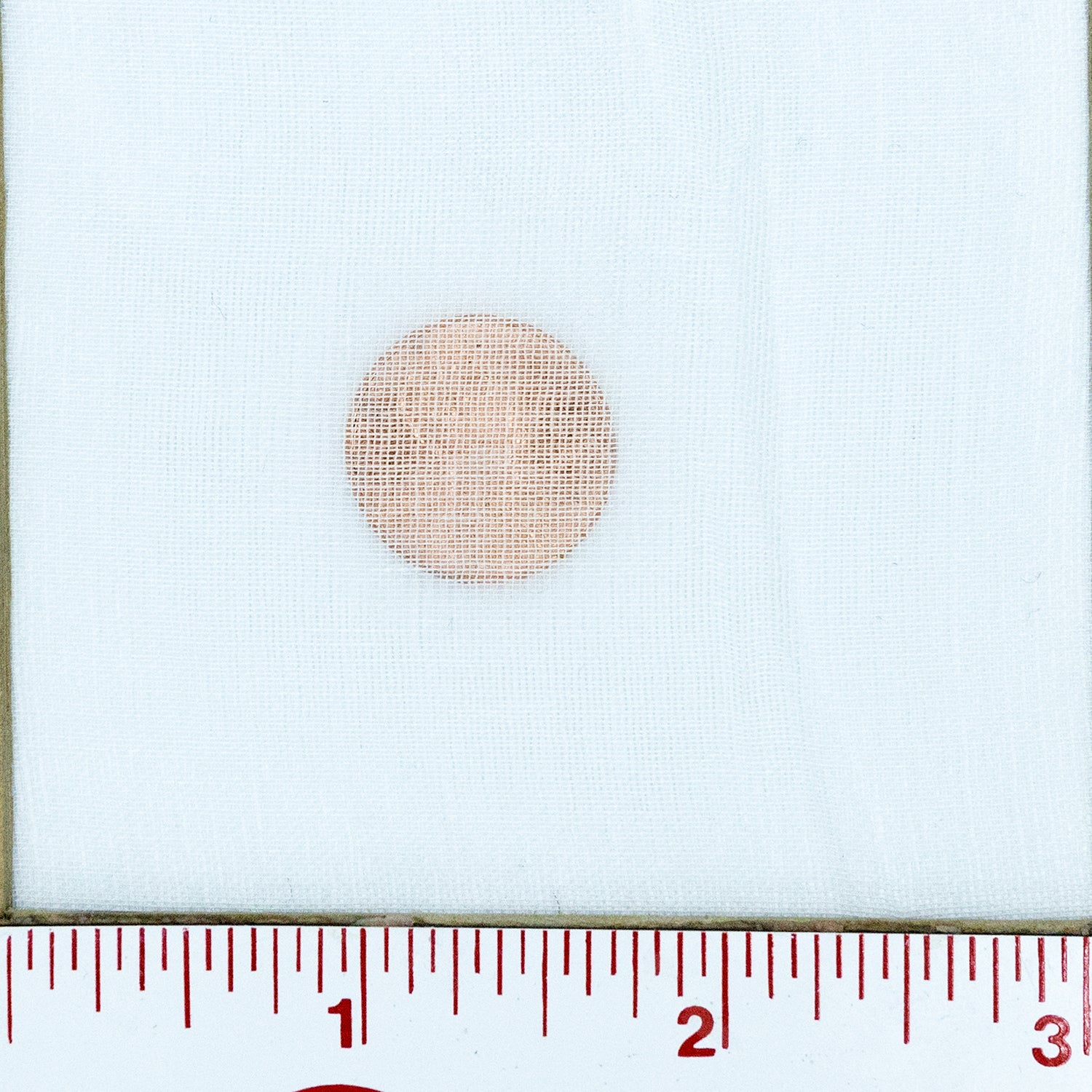 White Extra Sheer Cotton Muslin "Mull" - $13.00 yd. - Burnley & Trowbridge Co.